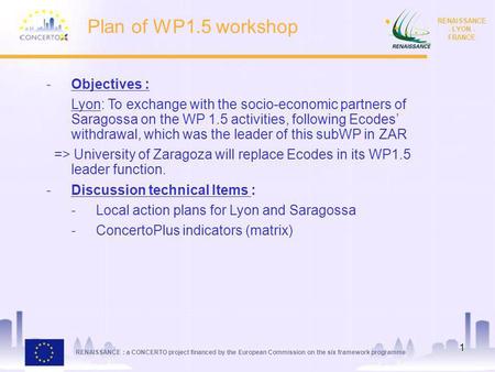 Plan of WP1.5 workshop Objectives :