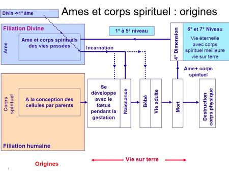 Ames et corps spirituel : origines