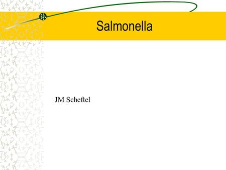 Salmonella JM Scheftel.
