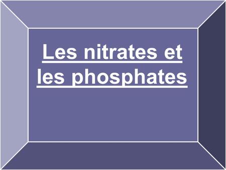 Les nitrates et les phosphates