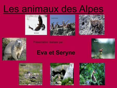 Les animaux des Alpes Présentation réalisée par : Eva et Seryne.
