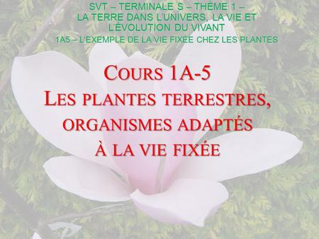 Cours 1A-5 Les plantes terrestres, organismes adaptés à la vie fixée