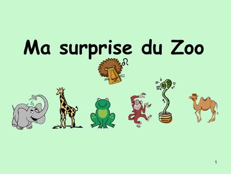 Ma surprise du Zoo.