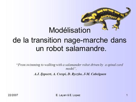 22/2007E. Layan & E. Lopez1 Modélisation de la transition nage-marche dans un robot salamandre. From swimming to walking with a salamander robot driven.