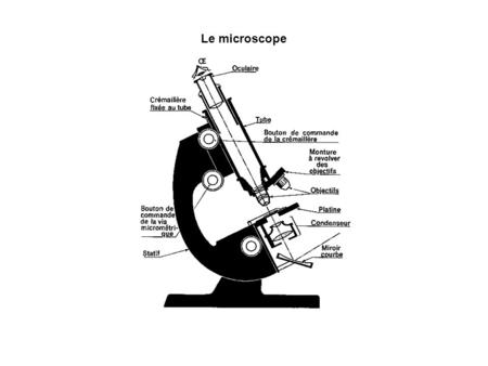 Le microscope.