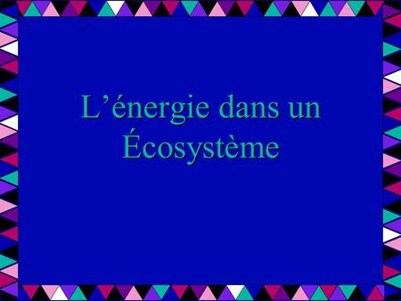 L’énergie dans un Écosystème