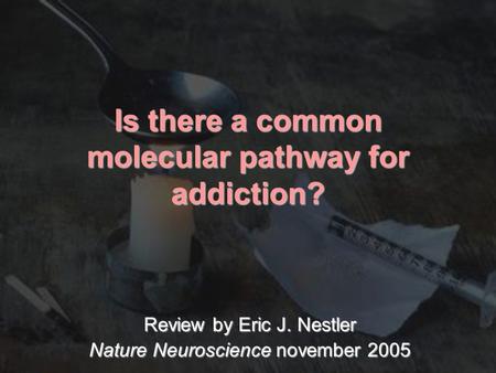 Is there a common molecular pathway for addiction?