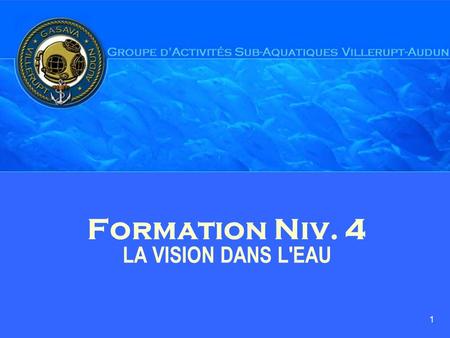 Formation Niv. 4 LA VISION DANS L'EAU
