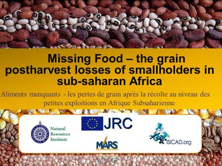 Missing Food – the grain postharvest losses of smallholders in