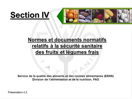 Section IV Normes et documents normatifs