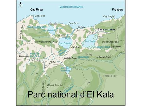 FrontièreCap Rosa Eau saumâtre Parc national dEl Kala.