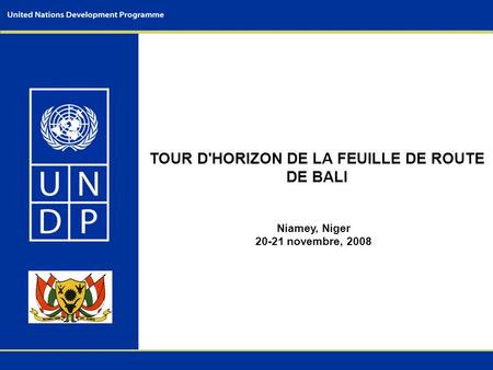 TOUR D'HORIZON DE LA FEUILLE DE ROUTE DE BALI Niamey, Niger 20-21 novembre, 2008.