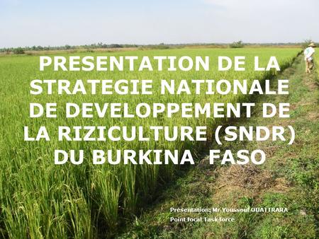 PRESENTATION DE LA STRATEGIE NATIONALE DE DEVELOPPEMENT DE LA RIZICULTURE (SNDR) DU BURKINA FASO Présentation: Mr Youssouf OUATTRARA Point focal Task.