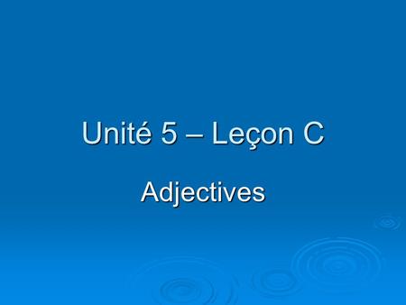 Unité 5 – Leçon C Adjectives.