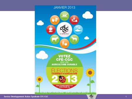 1Service Développement Action Syndicale CFE-CGC. 2 Résultats CFE-CGC aux élections CHAMBRES DAGRICULTURE 2013 -Forte progression dans le collège 3A -Accroissement.