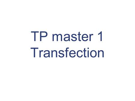 TP master 1 Transfection