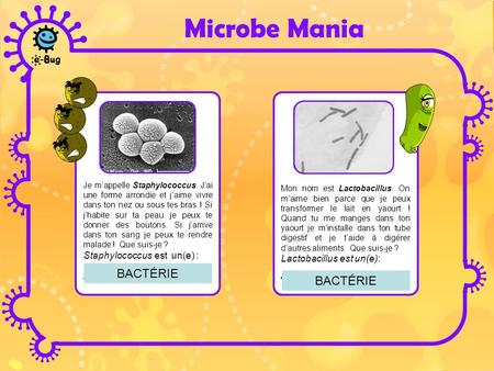 Microbe Mania ___________ ___________ BACTÉRIE BACTÉRIE