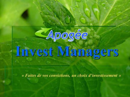 Invest Managers Invest Managers « Faites de vos convictions, un choix dinvestissement »