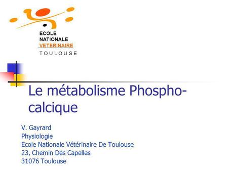 Le métabolisme Phospho-calcique