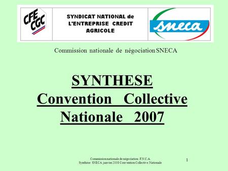 SYNTHESE Convention Collective Nationale 2007