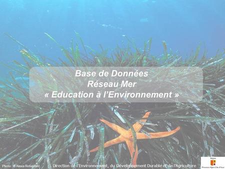 Accueil Photo : © Alexis Rosenfeld Base de Données Réseau Mer « Education à lEnvironnement » Base de Données Réseau Mer « Education à lEnvironnement »