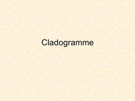 Cladogramme.
