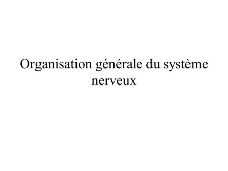 Organisation générale du système nerveux