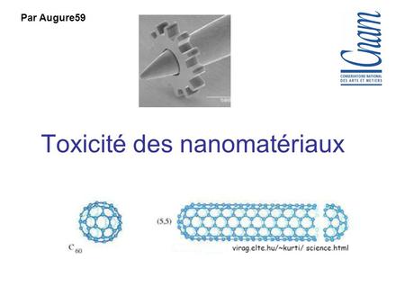 Toxicité des nanomatériaux