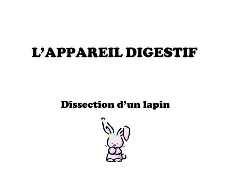 L’APPAREIL DIGESTIF Dissection d’un lapin.