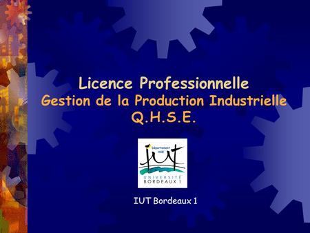 Licence Professionnelle Gestion de la Production Industrielle Q.H.S.E.