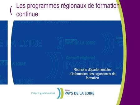 ( Les programmes régionaux de formation continue Réunions départementales dinformation des organismes de formation.