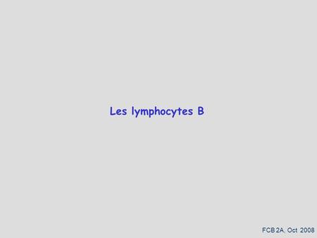 Les lymphocytes B FCB 2A, Oct 2008.