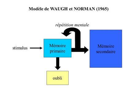 Modèle de WAUGH et NORMAN (1965)