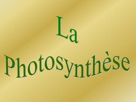 La Photosynthèse.