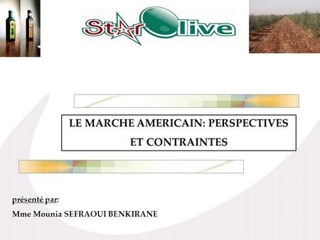 LE MARCHE AMERICAIN: PERSPECTIVES