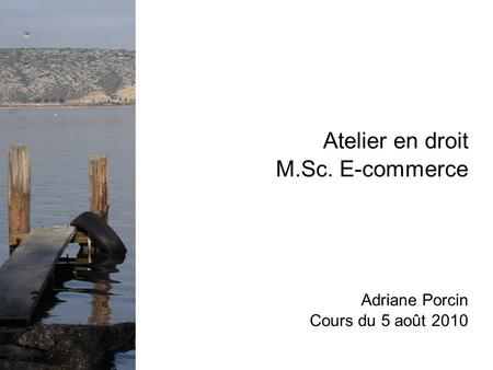 Atelier en droit M.Sc. E-commerce Adriane Porcin Cours du 5 août 2010.
