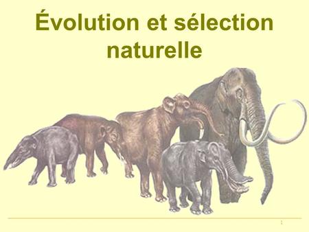 Évolution et sélection naturelle