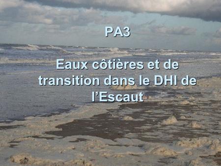 PA3 Eaux côtières et de transition dans le DHI de lEscaut.
