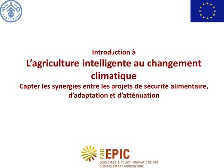 Introduction à Lagriculture intelligente au changement climatique Capter les synergies entre les projets de sécurité alimentaire, dadaptation et datténuation.