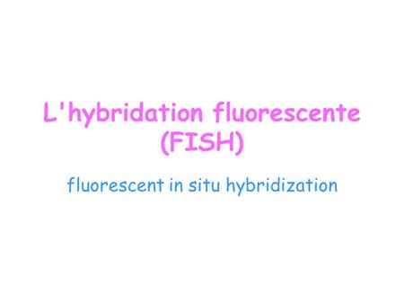 L'hybridation fluorescente (FISH)