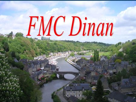 FMC Dinan Seminaire OGC demence 13-14 avril 11 MG 6 SPE= 35 %