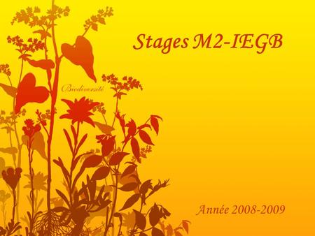 Stages M2-IEGB Année 2008-2009. Classification Par thèmes: –Environnement et développement durable Aménagement du territoire, développement durable et.