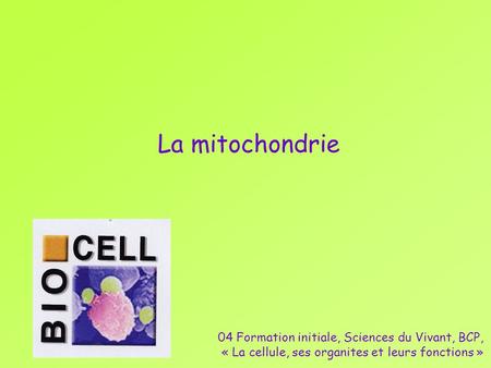 La mitochondrie 04 Formation initiale, Sciences du Vivant, BCP,
