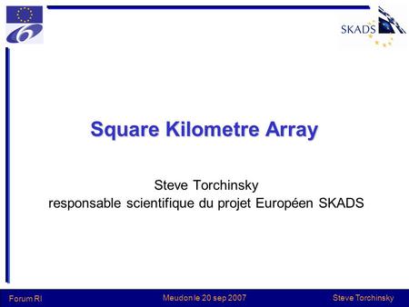 Steve Torchinsky Forum RI Meudon le 20 sep 2007 Square Kilometre Array Steve Torchinsky responsable scientifique du projet Européen SKADS.