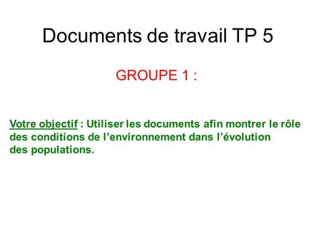 Documents de travail TP 5