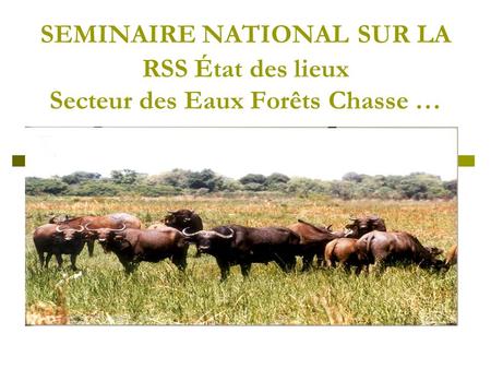 SEMINAIRE NATIONAL SUR LA RSS État des lieux Secteur des Eaux Forêts Chasse …
