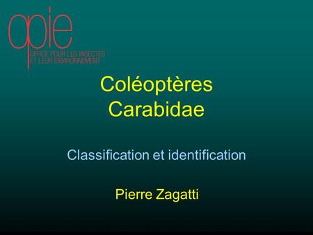 Classification et identification