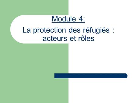 Module 4: La protection des réfugiés : acteurs et rôles.