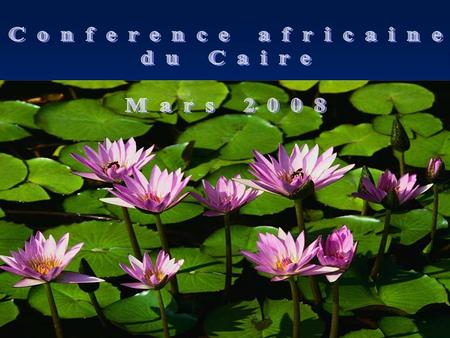 Conference africaine du Caire Mars 2008.