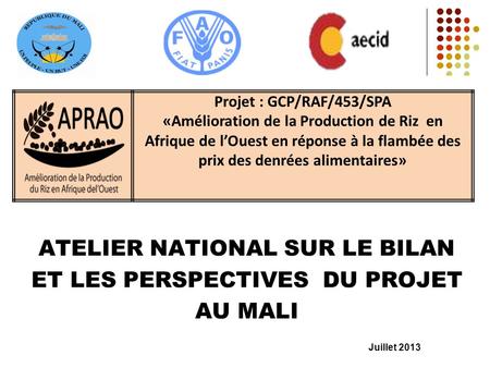 ATELIER NATIONAL SUR LE BILAN ET LES PERSPECTIVES DU PROJET AU MALI Juillet 2013 Projet : GCP/RAF/453/SPA «Amélioration de la Production de Riz en Afrique.